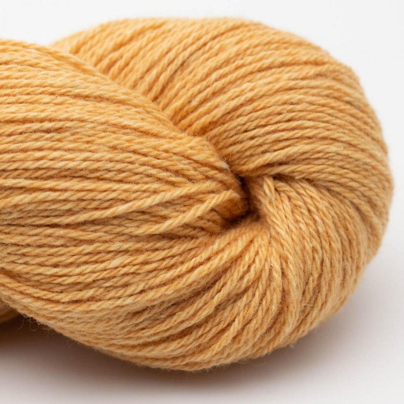 Bio Balance Karry - 50 g