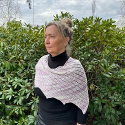 Strikkeopskrift - Dragon Wing 