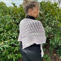 Strikkeopskrift - Dragon Wing 