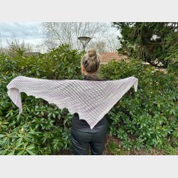 Strikkeopskrift - Dragon Wing 