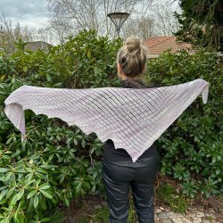 Strikkeopskrift - Dragon Wing 