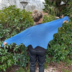 Strikkeopskrift - Forglemmigej 