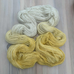 Golden Rain Gul - 100 g