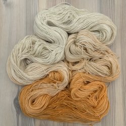Golden Rain Orange - 100 g