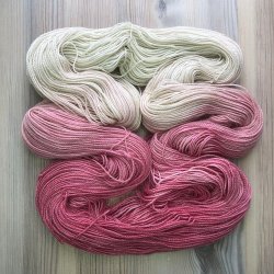 Golden Rain Magnolia - 100 g