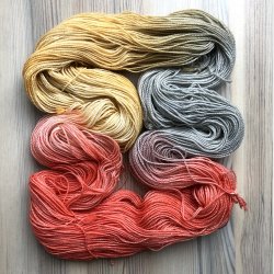 Golden Rain Ask - 100 g